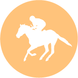 Poni club escuela de equitacion icon b